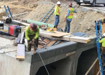 Renau Boulevard Culvert