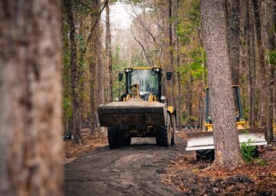 Pine Trace