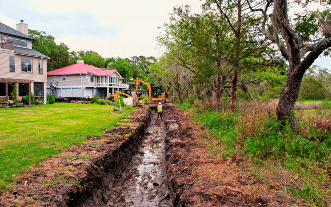 Stono Edge Ditch